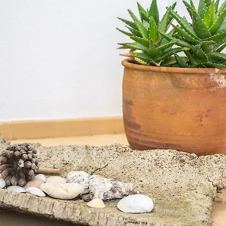 アパート Marie Vale De Milho カルヴォエイロ